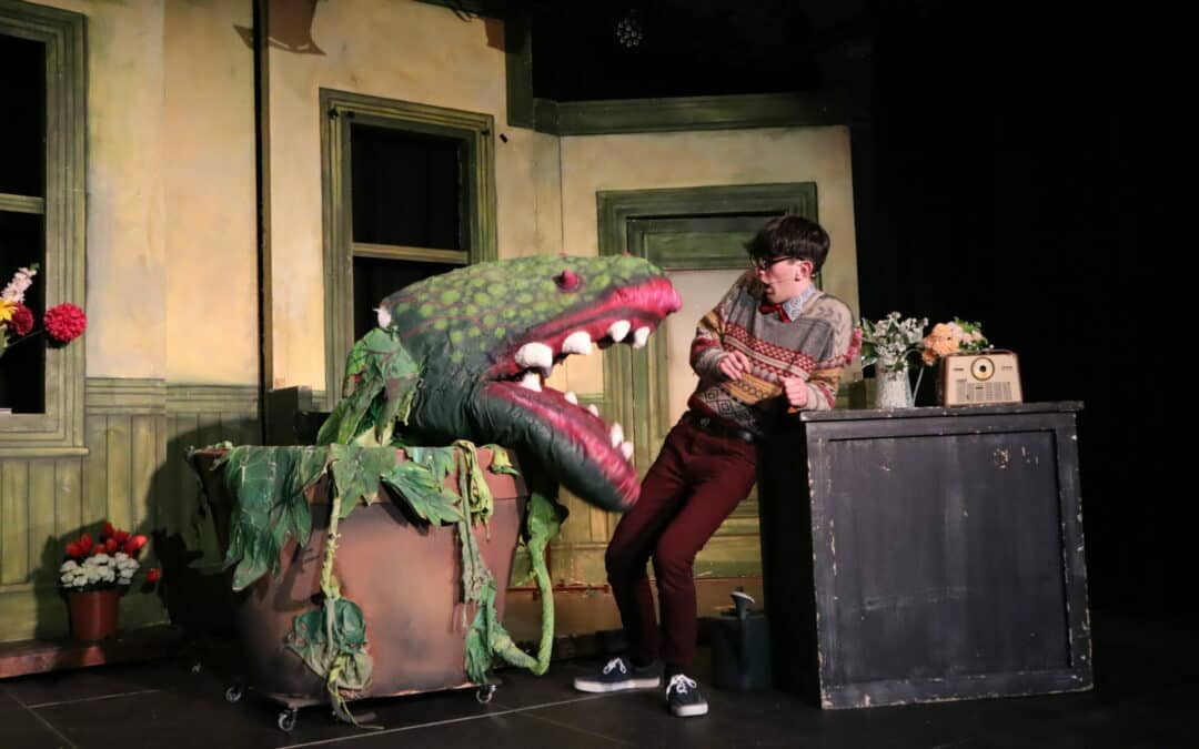 Don’t feed the plant! Little Shop of Horrors takes to the stage at CHHS