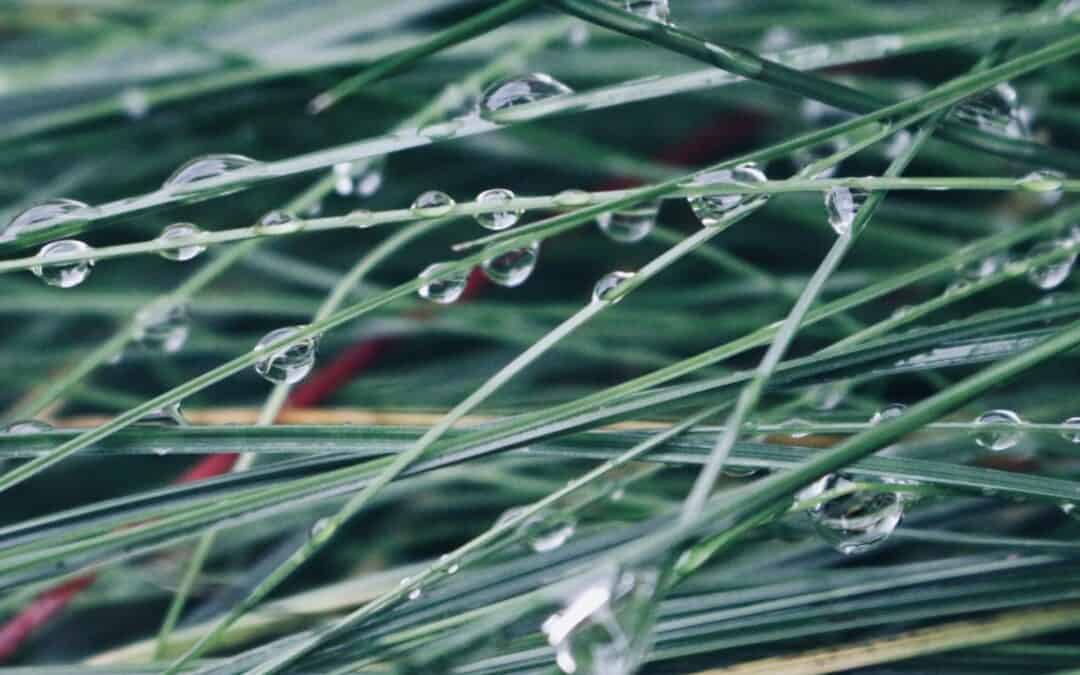 School photography showcased in calendar