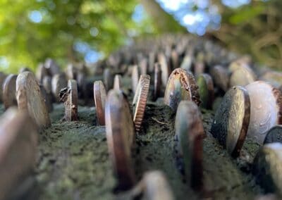 A close-up shot of pennies wedged into stone. Contrasting a background of a tree with light green leaves.