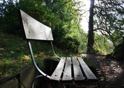 A park bench in the shadowy woods. Light reflects off of its surface.