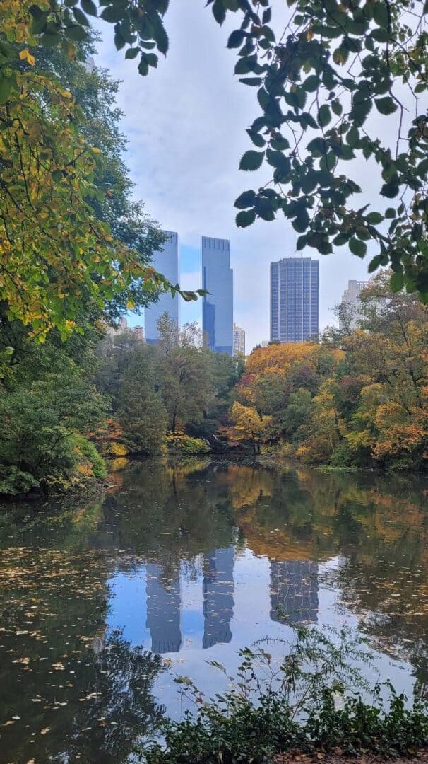 An image taken from a park in a city. Autumnal trees in the foreground contrast the blues of the skyscrapers in the background and their reflections in a lake.
