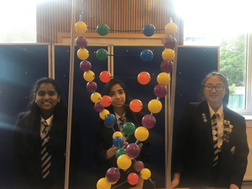 Stockport Science Fair Final